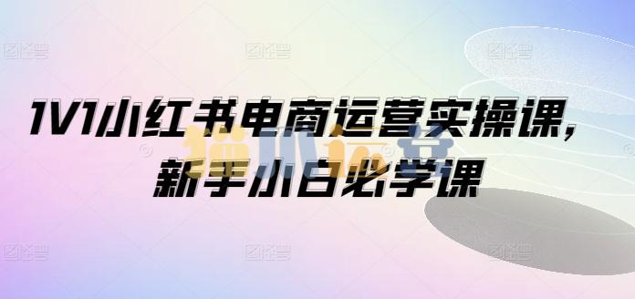 1V1小红书电商运营实操课,新手小白必学课-猫爪运营资源站
