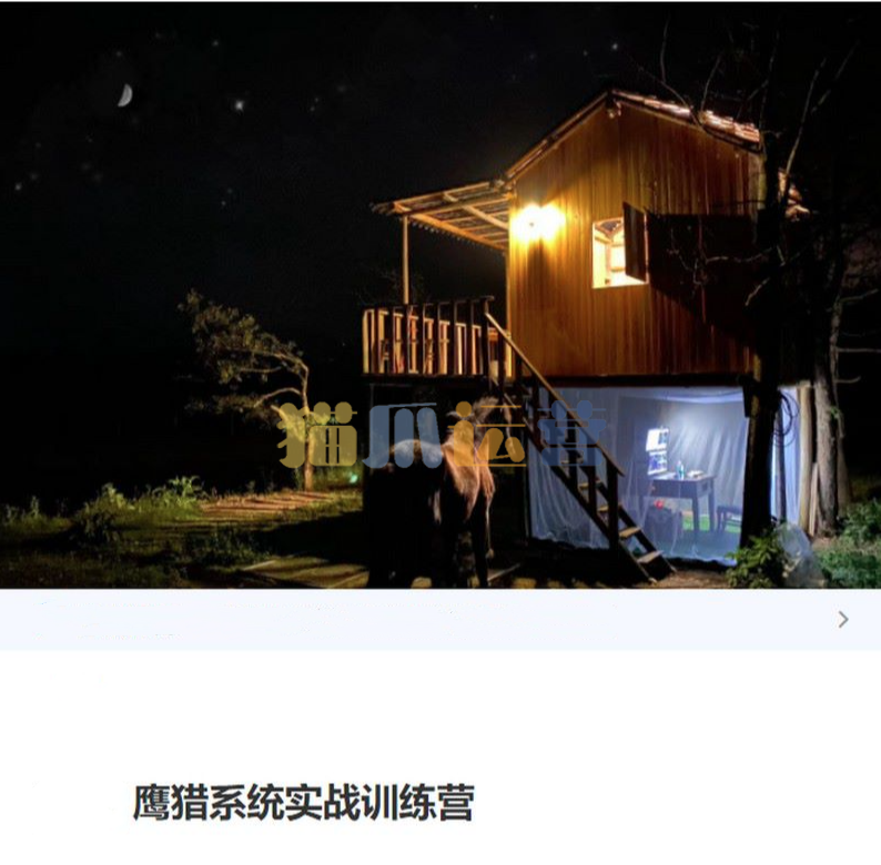 【外汇交易】鹰猎系统实战训练营-猫爪运营资源站