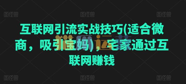 互联网引流实战技巧(适合微商,吸引宝妈),宅家通过互联网赚钱-猫爪运营资源站