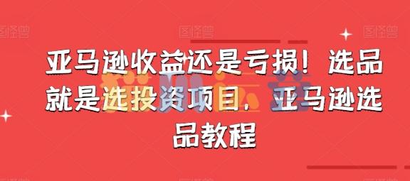 亚马逊收益还是亏损!选品就是选投资项目,亚马逊选品教程-猫爪运营资源站