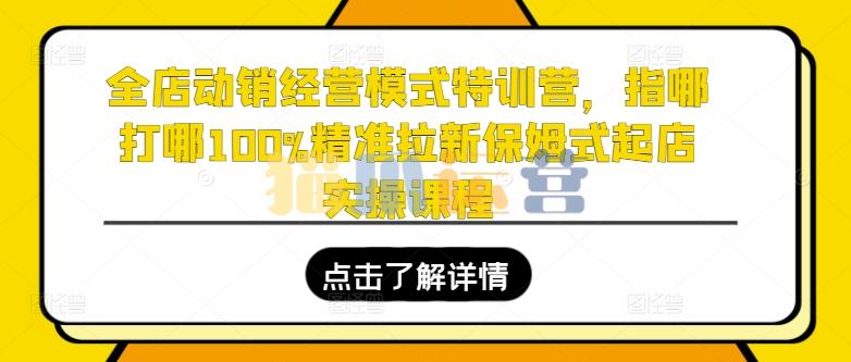 全店动销经营模式特训营,指哪打哪100%精准拉新保姆式起店实操课程-猫爪运营资源站