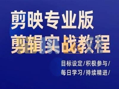 剪映专业版剪辑实战教程,目标设定/积极参与/每日学习/持续精进-猫爪运营资源站