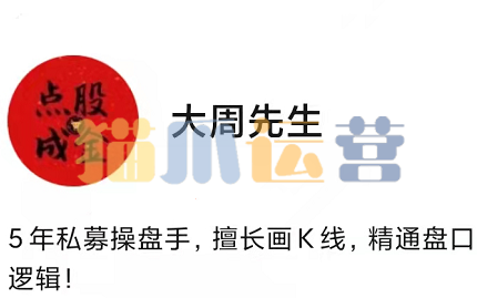 大周先生:主力行为逻辑训练营2024年1-6月-猫爪运营资源站