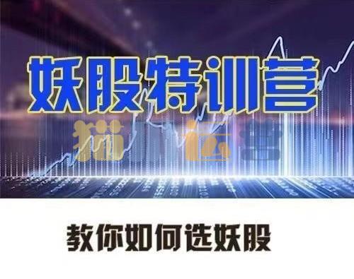 李栋妖股特训营,教你如何选妖股-猫爪运营资源站
