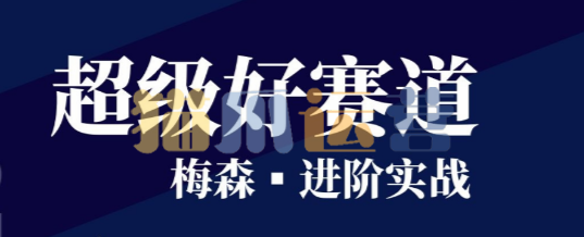 梅森投研超级好赛道进阶实战2022-猫爪运营资源站