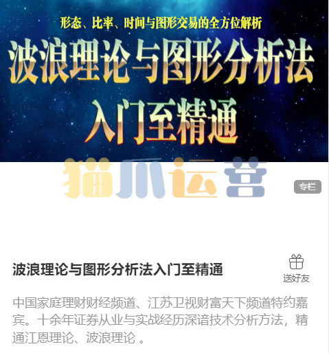 陈译辉-波浪理论与图形分析法入门至精通-猫爪运营资源站