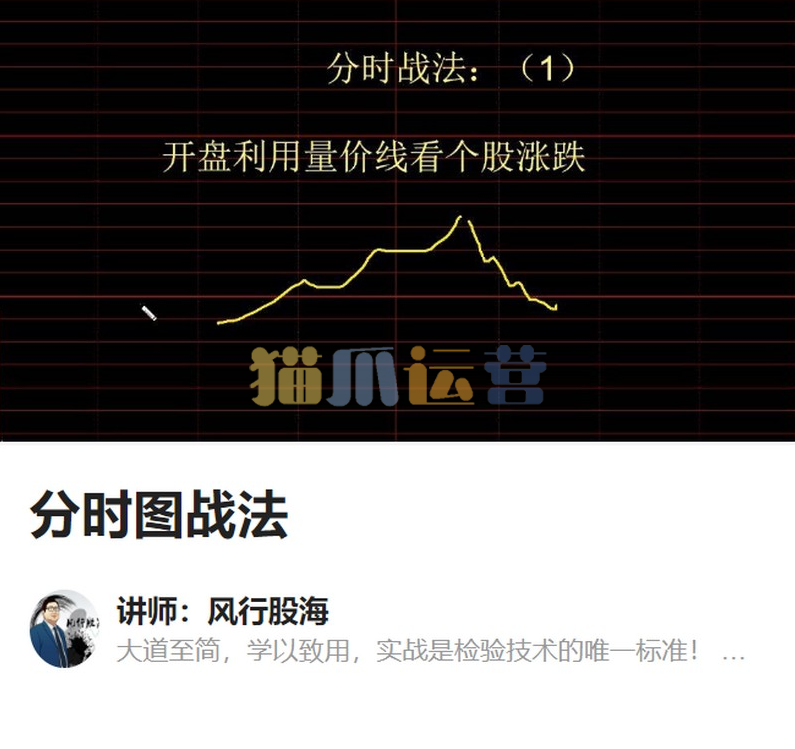 风行股海-分时图战法-猫爪运营资源站