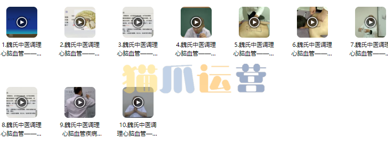 魏晓辉魏氏中医调理心脑血管疾病 十六期-猫爪运营资源站