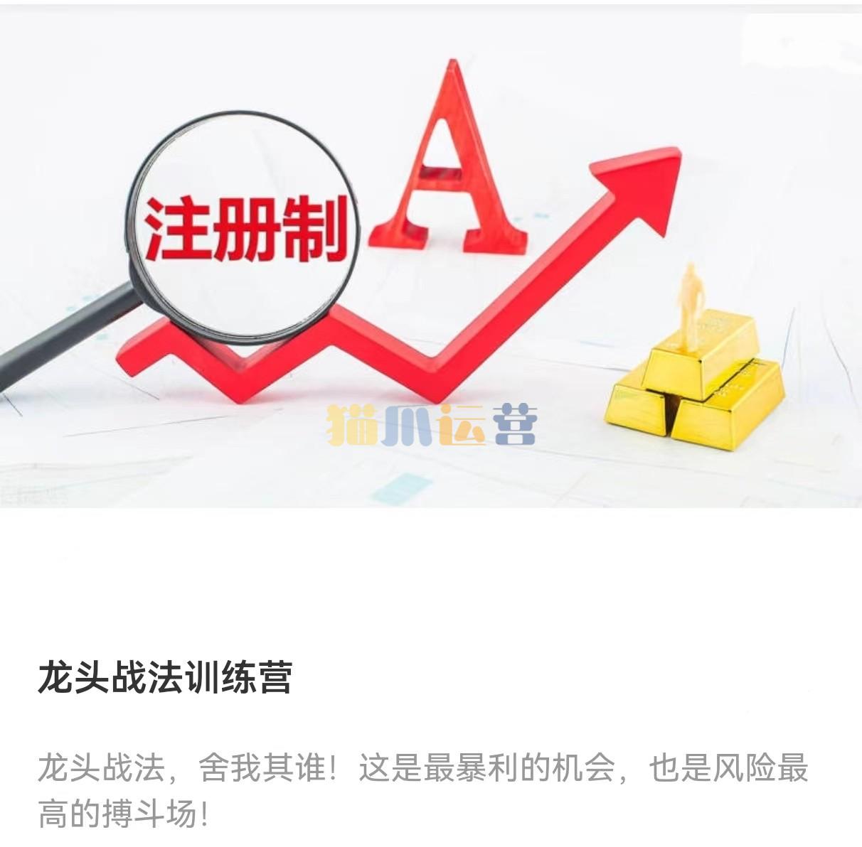 龙头战法训练营-猫爪运营资源站