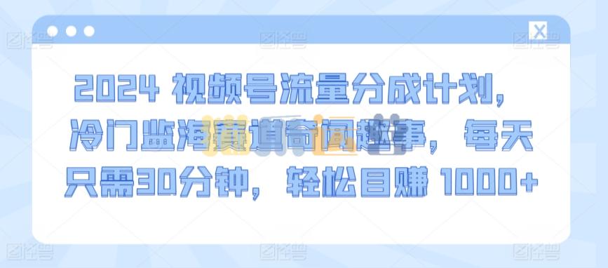 2024视频号流量分成计划,冷门监海赛道奇闻趣事,每天只需30分钟,轻松目赚 1000+【揭秘】-猫爪运营资源站