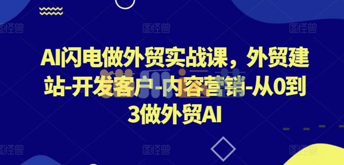 AI闪电做外贸实战课,外贸建站-开发客户-内容营销-从0到3做外贸AI-猫爪运营资源站