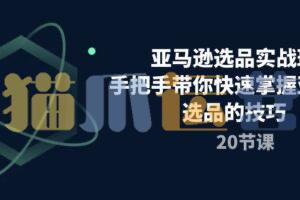 亚马逊选品实战班,手把手带你快速掌握亚马逊选品的技巧-猫爪运营资源站