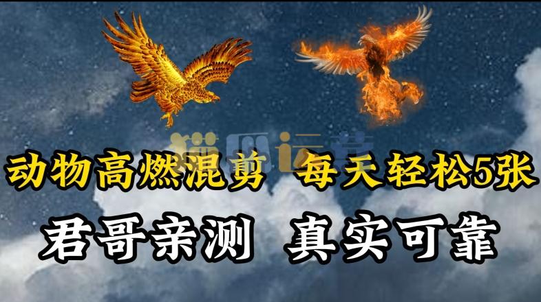 动物超燃混剪,每天轻松5张,剪辑简单大家爱看【揭秘】-猫爪运营资源站