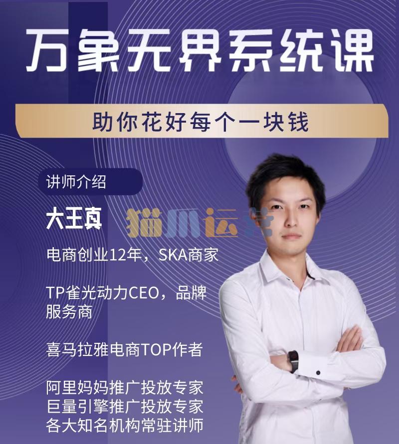 大王真万象无界精准投流系统课,从关键词到推荐,从万象台到达摩盘,从底层原理到实操步骤-猫爪运营资源站