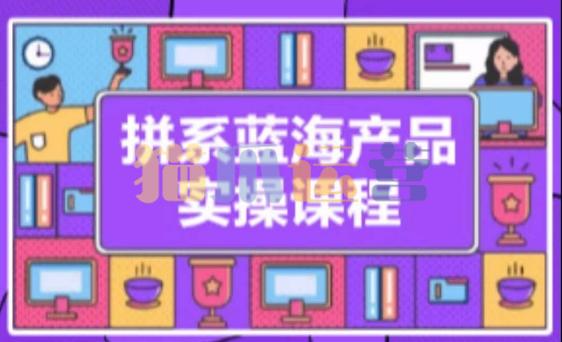 拼系冷门蓝海产品实操课程,从注册店铺到选品上架到流量维护环环相扣-猫爪运营资源站