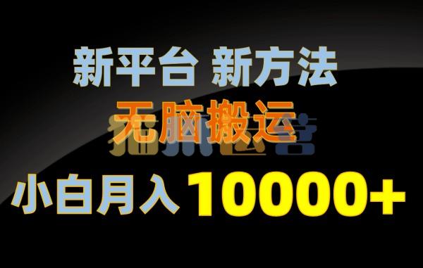 新平台新方法,无脑搬运,月赚10000+,小白轻松上手不动脑【项目拆解】-猫爪运营资源站