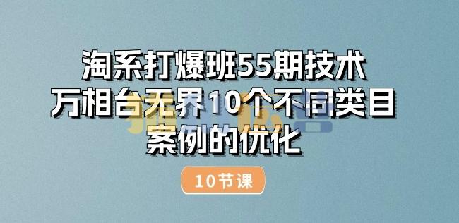 淘系打爆班55期技术:万相台无界10个不同类目案例的诊断优化(10节)-猫爪运营资源站