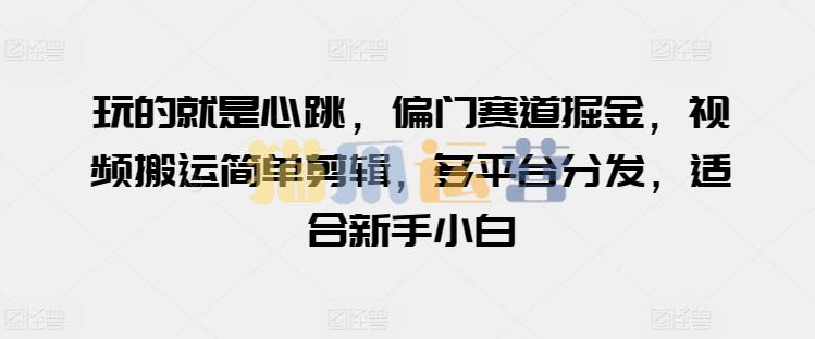 玩的就是心跳,偏门赛道掘金,视频搬运简单剪辑,多平台分发,适合新手小白【项目拆解】-猫爪运营资源站