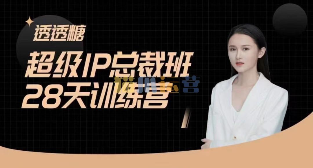 透透糖・超级IP总裁班28天训练营-5月新课,新媒体高效获取能变现的精准流量-猫爪运营资源站