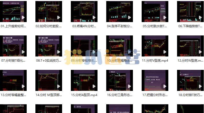 龟股堂《股票T+0实战秘籍》分时做T技巧 共32集-猫爪运营资源站
