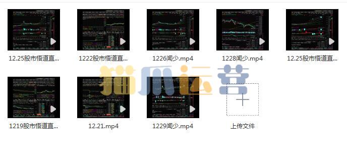 2023年12月淘股吧大V闻少 股市悟道直播课 收集视频 共8个-猫爪运营资源站