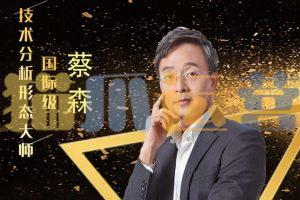 【蔡森】2023年森财技术-森财技术基础+进阶+宏观+经典技术分析-猫爪运营资源站