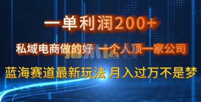 一单利润200私域电商做的好,一个人顶一家公司蓝海赛道最新玩法【揭秘】-猫爪运营资源站
