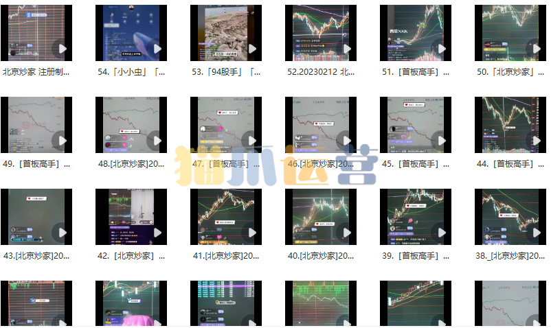 北京炒家直播视频合集-猫爪运营资源站