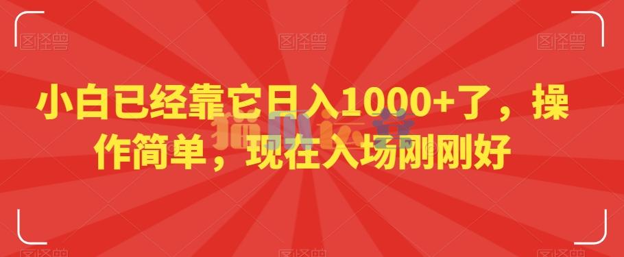 小白已经靠它日入1000+了,操作简单,现在入场刚刚好【揭秘】-猫爪运营资源站