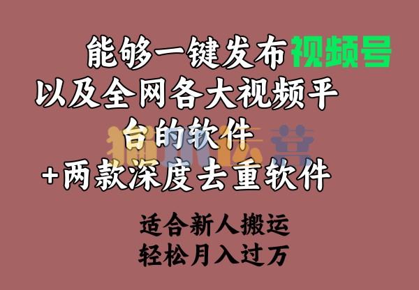 能够一键发布视频号以及全网各大视频平台的软件+两款深度去重软件 适合...-猫爪运营资源站