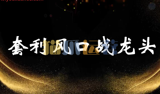 袁博【牛散特训营专栏】分时做T-龙头起爆技法-猫爪运营资源站