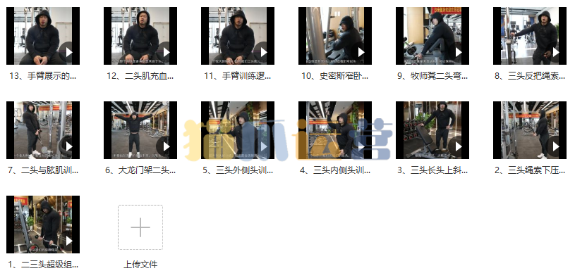 【健身健美】廖剑锋手臂训练教学视频-猫爪运营资源站
