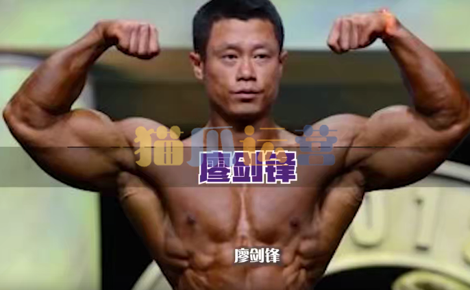 【健身健美】廖剑锋胸部训练教学视频-猫爪运营资源站