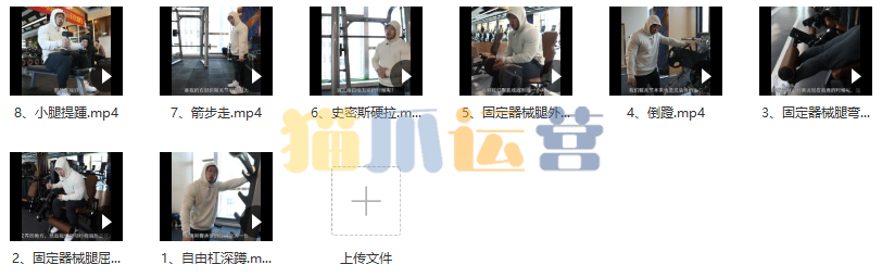 【健身健美】廖剑锋腿部训练教学视频-猫爪运营资源站