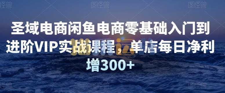 【圣域电商】闲鱼电商零基础入门到进阶VIP实战课程-猫爪运营资源站