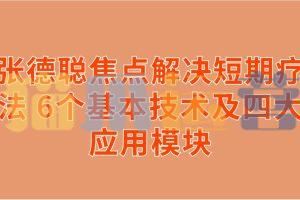 张德聪焦点解决短期疗法 6个基本技术及四大应用模块-猫爪运营资源站