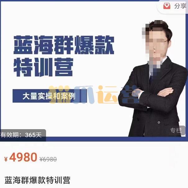 无招店群・蓝海群爆款特训营,大量实操和案例-猫爪运营资源站