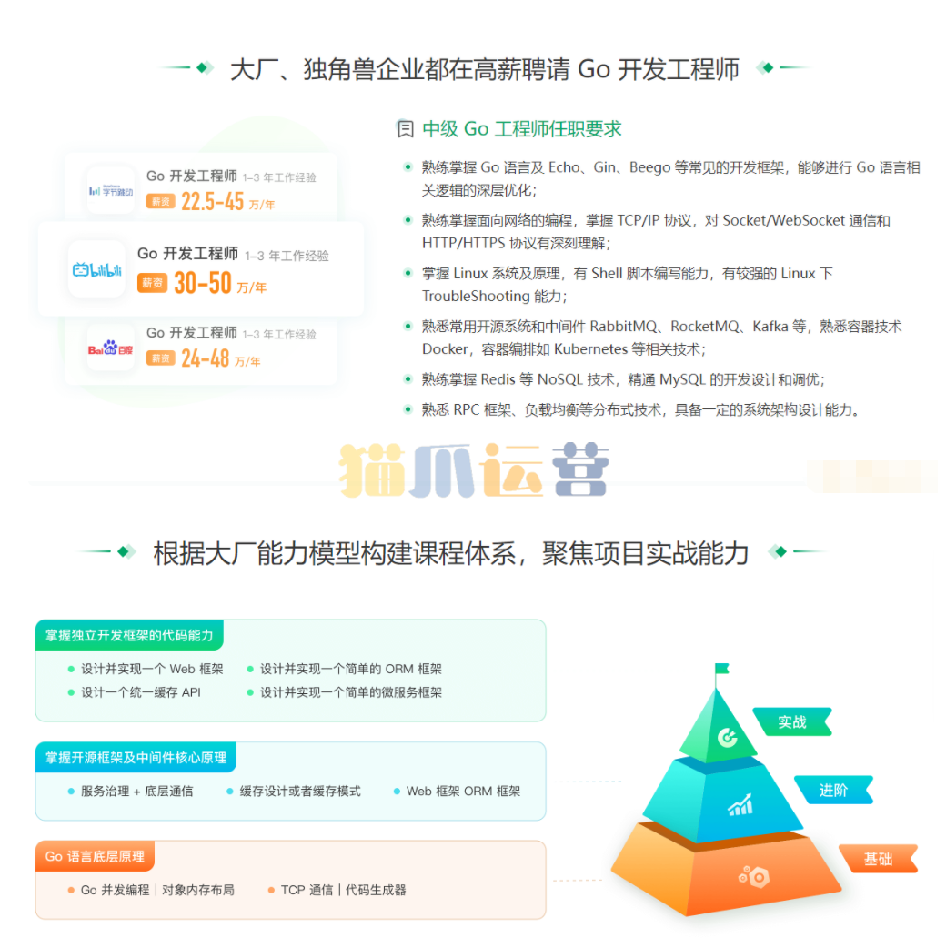 极客时间-Go实战训练营0期-价值5999元-2022年-猫爪运营资源站