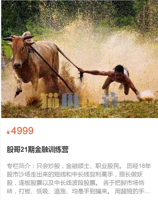 股哥训练营 只会炒股第21期 2022-猫爪运营资源站