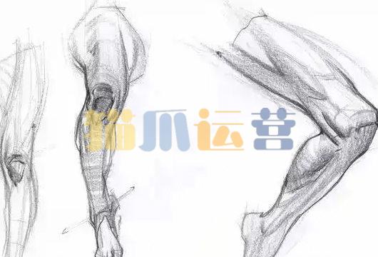 大木画画2022人体结构第五期【画质不错只有视频】-猫爪运营资源站
