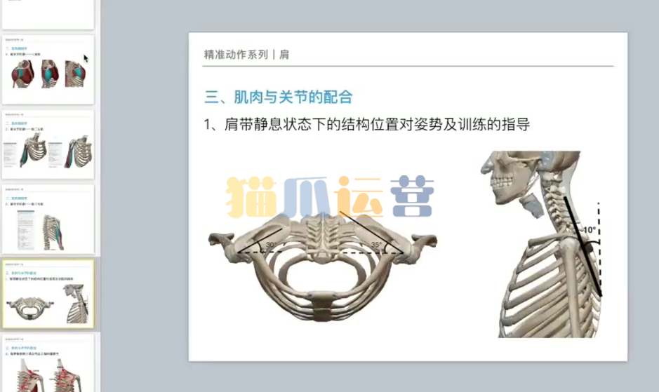 麦大湿 精准动作肩部-猫爪运营资源站